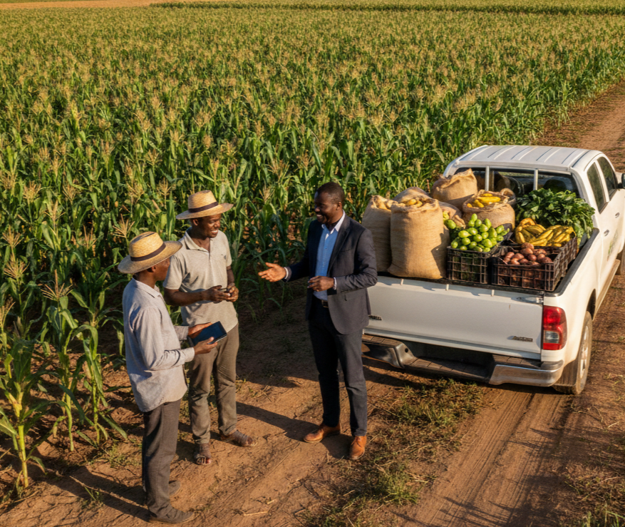 Agricultor com vegetais